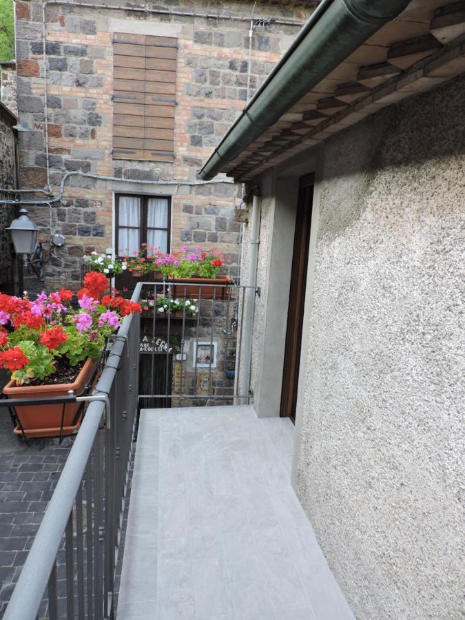 La Casa Di Olga * Radicofani
